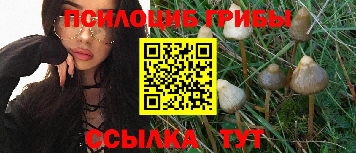 Галлюциногенные грибы Psilocybine cubensis  Псилоцибиновые грибы мухоморы  Вход с VPN  Железногорск 